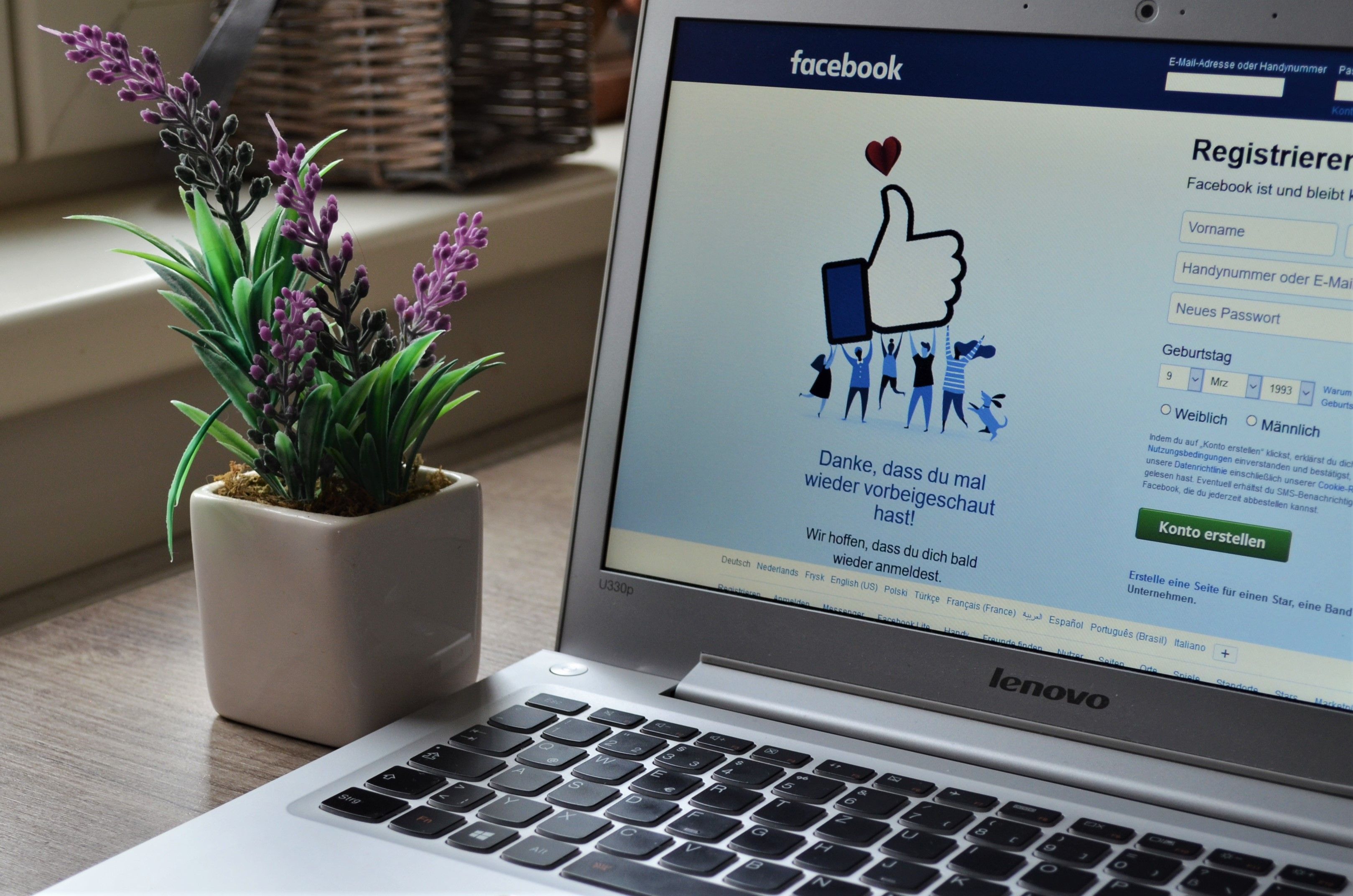 Meta Ads for Beginners: A No-Nonsense Starting Guide